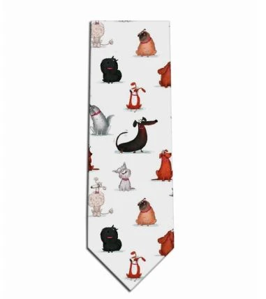 Nylig motedesign tilpassede silkeslips for menn